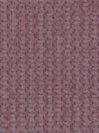Sensation Lilac